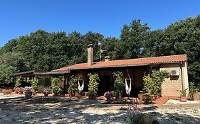 Agriturismo Antiglia